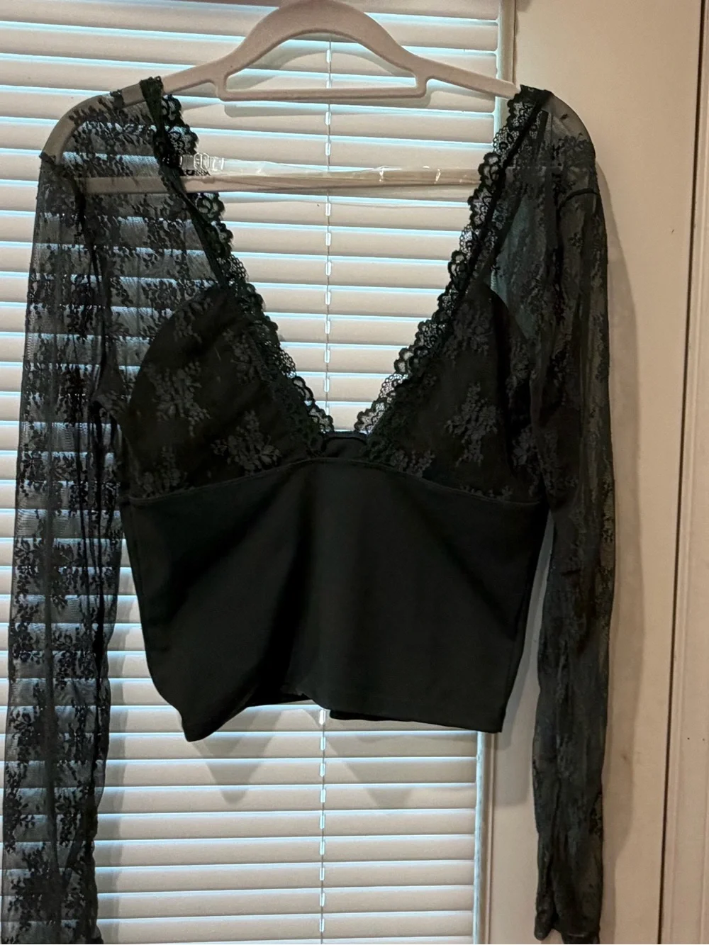 Free People Twyla lace sleeved top